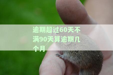 逾期60天不超过90天多久能修复？征信问题如何解决？