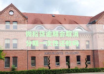 微粒贷逾期会要求一次性还清欠款吗？了解你的权利与应对策略