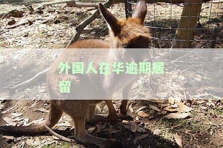 外国人在华逾期居留条件及影响：可能被拒绝再次入境