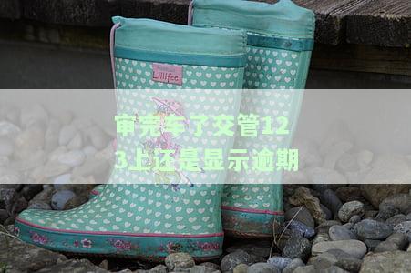 审完车了交管123上还是显示逾期