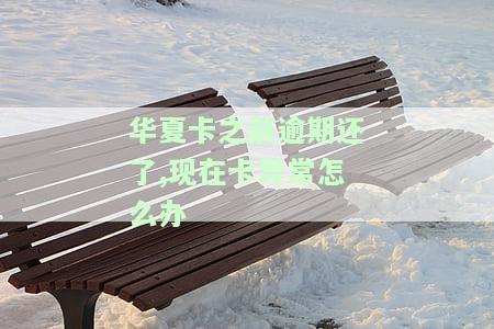 华卡状态异常多久恢复？常见问题及解决方案