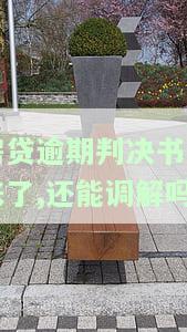 房贷逾期判决书下来了，还能调解吗？解决方案是什么？