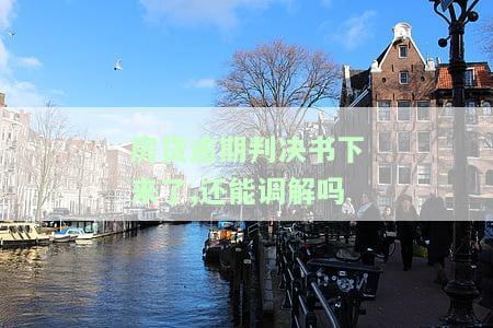 房贷逾期判决后能否和解或调解？全款偿还如何处理？