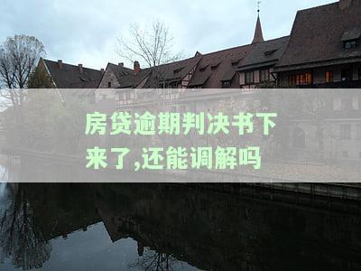 房贷逾期判决书下来了,还能调解吗-房贷逾期判决书下来了,还能调解吗怎么办