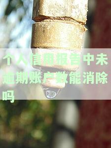 个人征信从未发生过逾期的账户明细多久消除？对信用有何影响？