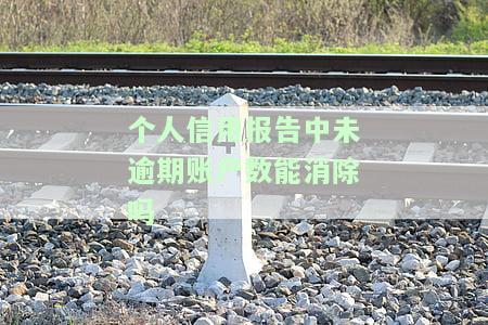 个人信用报告中未逾期账户数能消除吗-个人信用报告从未发生过逾期的账户明细