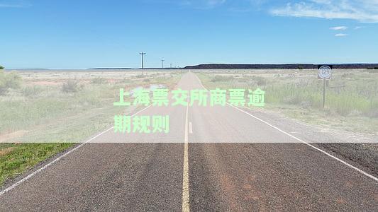上海票交所商票逾期规则-上海票交所商票逾期规则最新
