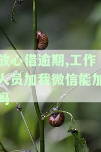 放心借逾期几天会联系本人？超过7天会有何影响？是否会拨打联系人电话？