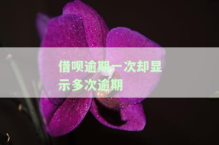 借呗一次逾期有好几个账单，算几次逾期？会上征信吗？