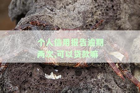 个人信用报告逾期两次，还能在知乎上贷款吗？