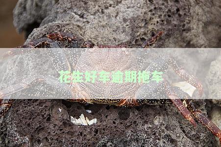 花生好车逾期车被偷走：如何处理？