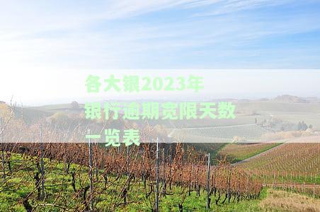 各银行逾期宽限期一览：天数、标准全解析