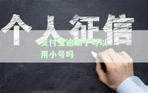 支付宝逾期不能用了，能否更换账号？