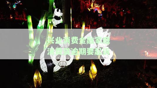 兴业消费金融家庭消费贷逾期起诉判决结果及案例分析