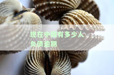 中国有多少人负债累累？2021年最新数据解析