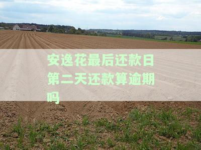 安逸花还款日第二天还款可行吗？会影响信用记录吗？
