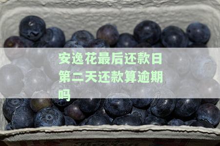 安逸花最后还款日第二天还款算逾期吗-安逸花最后还款日当天还款可以吗
