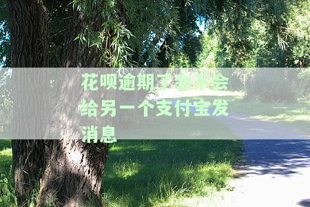 支付宝花呗逾期后是否会通知家人？
