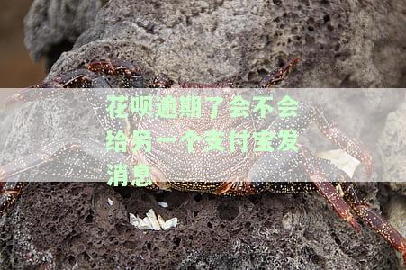 花呗逾期了会不会给另一个支付宝发消息-花呗逾期会联系到新的支付宝账号吗