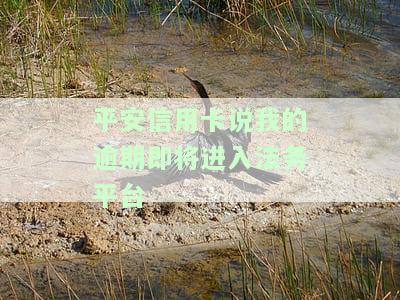 平安信用卡说逾期将进入法务平台，是否真实？该如何处理？