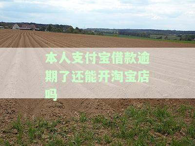 支付宝逾期能否开店？影响淘宝店铺运营吗？