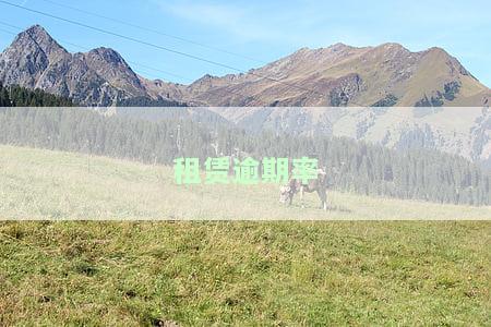 如何计算租赁逾期率的利息？包括利息、本金及合同中的逾期支付利息