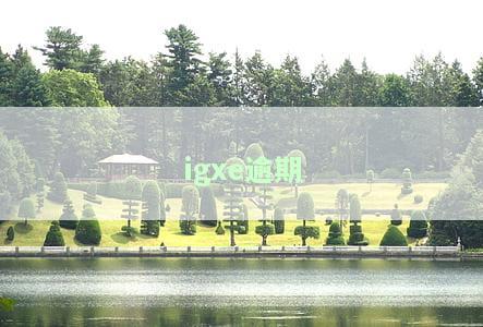 IGXE：多久未收货会被惩罚？超过12小时未发货怎么办？收到货物后几天过期？