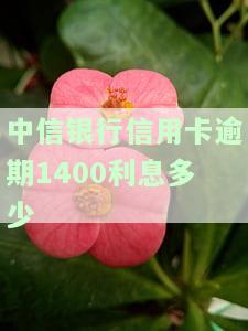 中信信用卡40000逾期一年：费用超万元，利息高企，后果严重