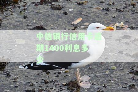 中信银行信用卡4000逾期2年：利息、后果及解决办法