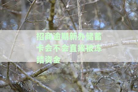 招商逾期新办储蓄卡会不会直接被冻结资金