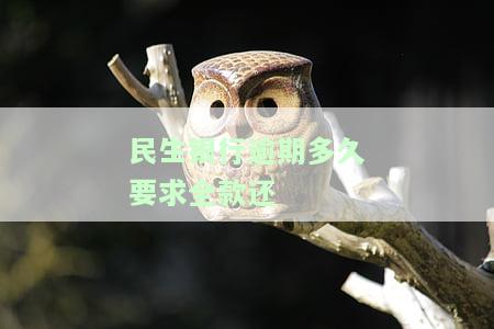 民生银行逾期多久银行可以冻结我的银行账户？逾期两个月卡被冻结后如何处理？
