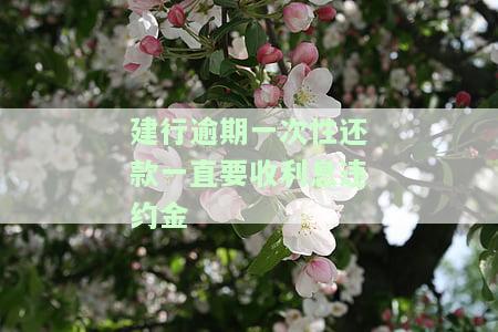 建行逾期一次性还款一直要收利息违约金