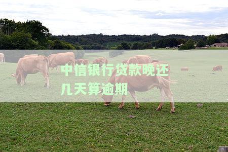 中信银行贷款逾期一天会否上征信？影响及解决方法全解析