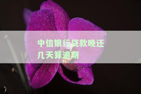 中信贷款了一天会有什么后果？晚还一天会影响信用吗？详细处理方式解析