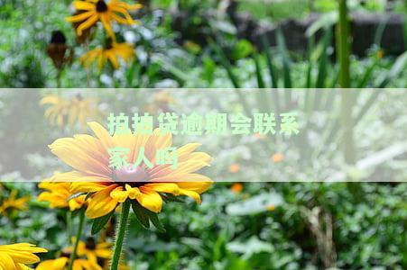 拍拍贷借款逾期会否上门催款？长时间不还会给家人打电话吗？