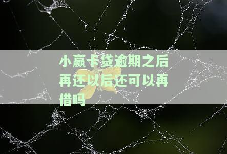 小赢卡贷逾期后还清能否再次借款？安全性如何？逾期几天会产生何种影响？