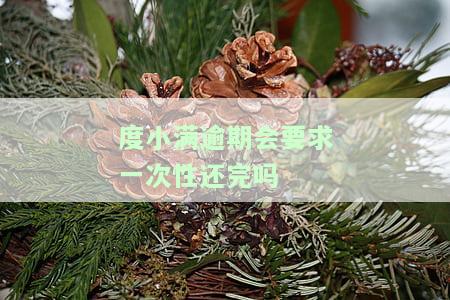 度小满逾期会要求一次性还完吗-度小满逾期了会怎样
