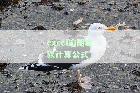 Excel中逾期天数计算公式：IF函数实现