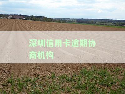 2021年信用卡逾期协商：如何成功协商还款及案例分享