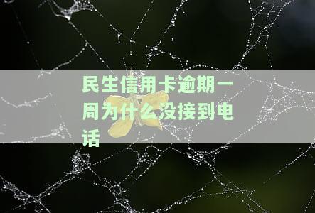 民生信用卡逾期一周为什么没接到电话
