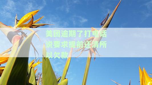 美团逾期后电话称全部还款可恢复额度，但实际操作中仍需注意
