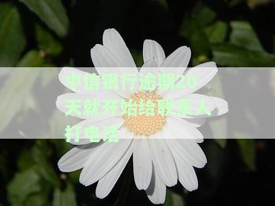 中信银行逾期20天开始给联系人打电话，逾期如何处理？真实案例分享