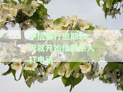 中信银行逾期20天开始给联系人打电话？本地电话协商是否真实？逾期多久发紧急联系人信息、收到短信即算预期？