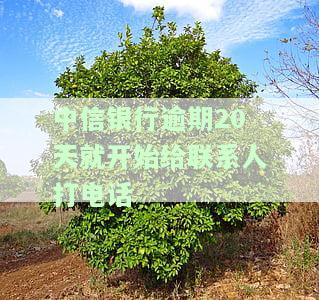 中信银行逾期2天发短信通知是否算预期？会影响征信吗？