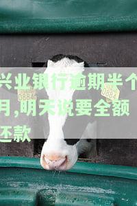 兴业银行逾期半个月，明天需全额还款？停卡走法律程序是真的吗？逾期15天后还款额度会降吗？催收称将进行下一步流程，逾期20天是否会找上门？