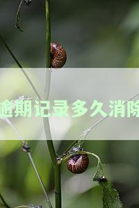 征信逾期记录多久消除？最新政策及影响买房解析