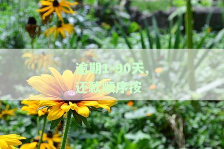 逾期1-90天: 还款顺序及利息计算方法