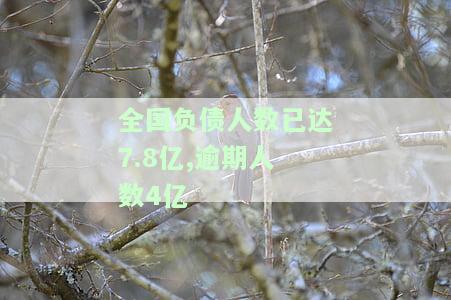 全国负债人数已达7亿，逾期率42%，债务问题日益严重