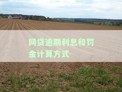 网贷逾期利息和罚金计算方式全解析