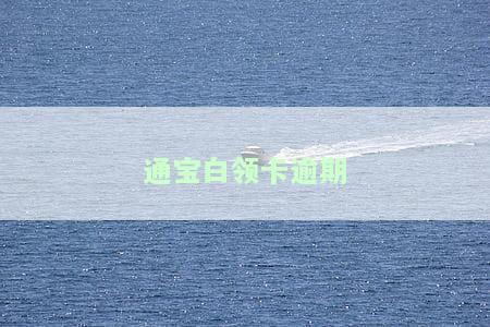 通宝白领卡逾期